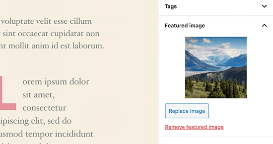 Aper?u de l'image vedette dans l'éditeur d'articles Aper?u de l'image vedette dans l'éditeur d'articles