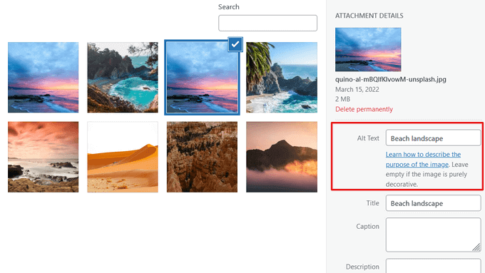 Adding Alternative Text and Captions to Images in WordPress Adding Alternative Text and Captions to Images in WordPress