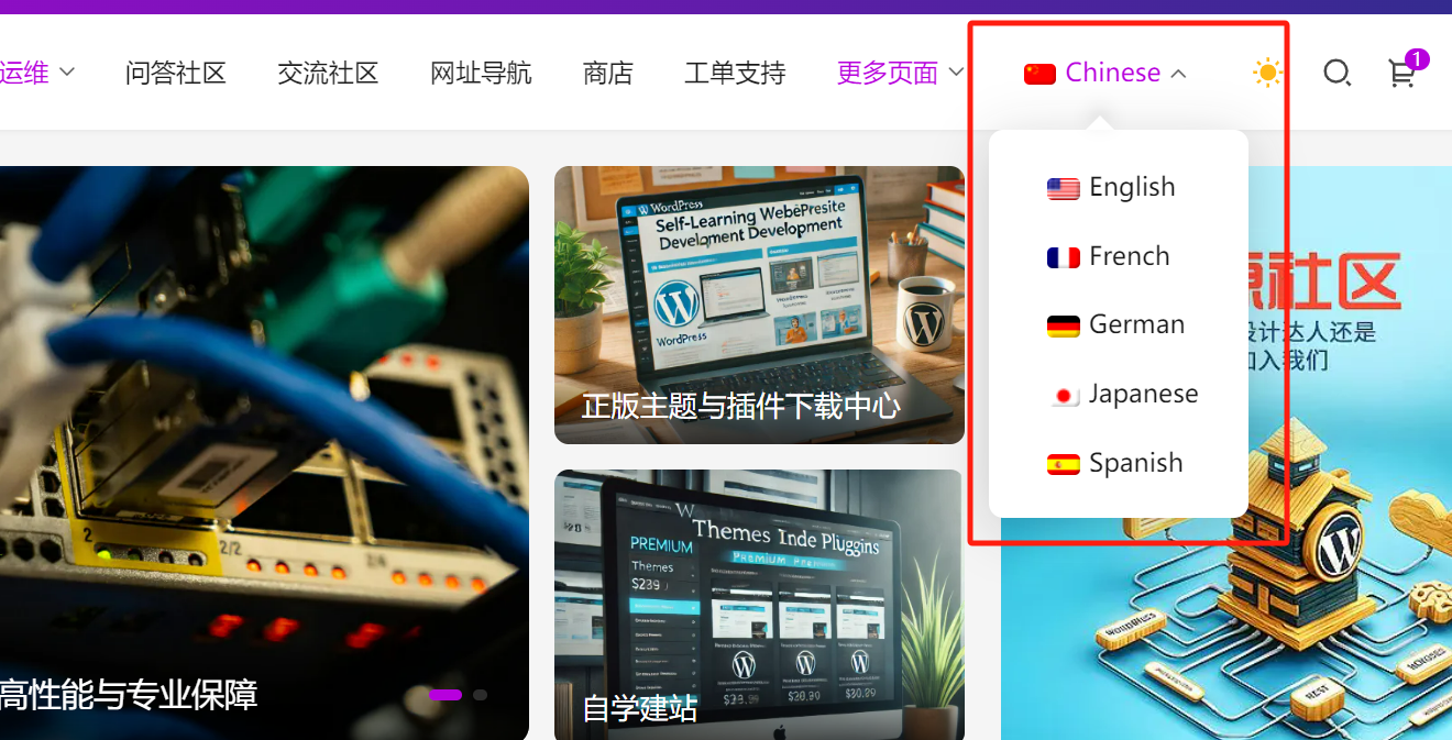 圖片[9]-如何用TranslatePress創(chuàng)建多語言 WordPress 網(wǎng)站（01）-光子波動(dòng)網(wǎng) | 專業(yè)WordPress修復(fù)服務(wù)，全球范圍，快速響應(yīng)