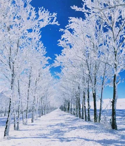 冬のアバター - フォトンゆらぎネットワーク｜WordPress修理のプロフェッショナル、ワールドワイド、迅速対応