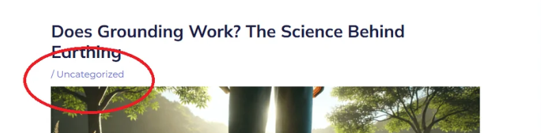 博客頁面不顯示類別有沒有辦法-光子波動網(wǎng) | 專業(yè)WordPress修復(fù)服務(wù)，全球范圍，快速響應(yīng)