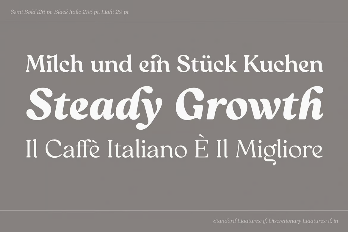 Imagen [2] - Reigo Font Family - Photon Flux | Servicio profesional de reparación de WordPress, en todo el mundo, ?rápida respuesta!