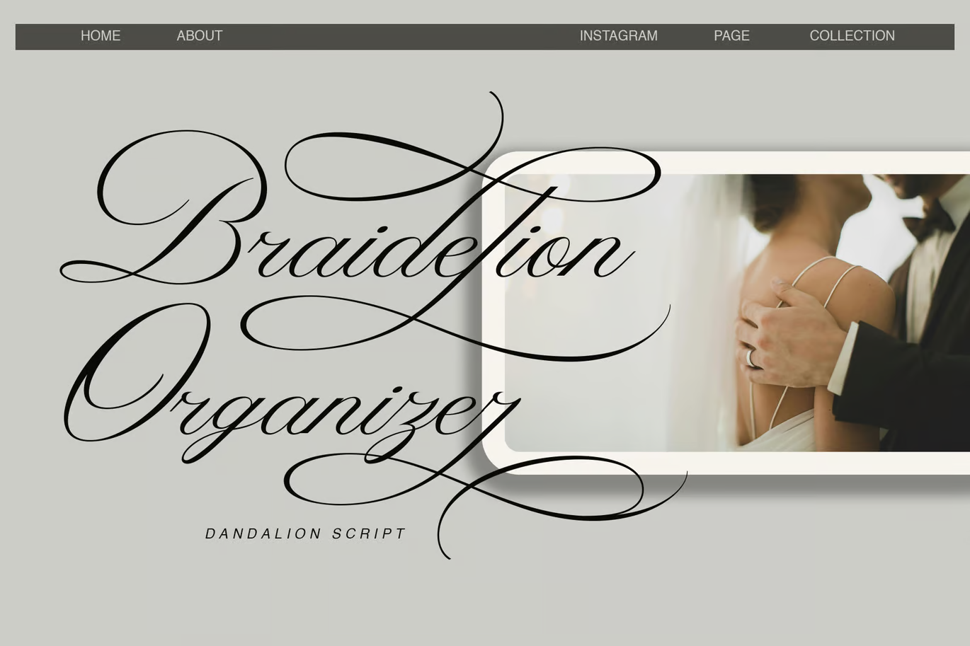 Image [2] - Dandellion Fonts - Photon Flux | Service professionnel de réparation de WordPress, dans le monde entier, réponse rapide !