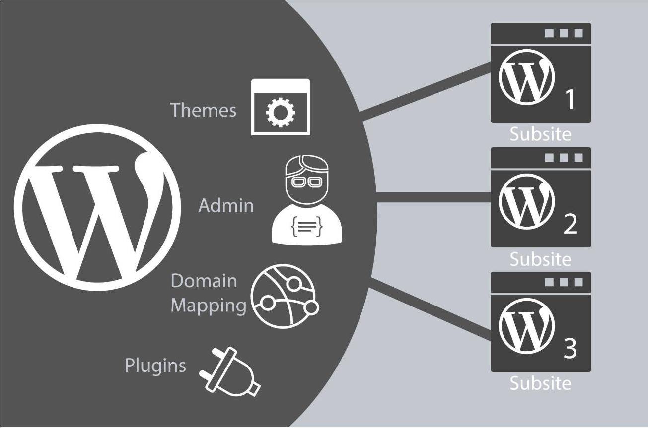 Una guía completa del proceso de implantación de WordPress de un servidor local a un servidor en línea