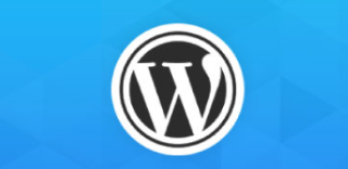 每個(gè)子站點(diǎn)啟用獨(dú)立子主題-光子波動(dòng)網(wǎng) | 專業(yè)WordPress修復(fù)服務(wù)，全球范圍，快速響應(yīng)