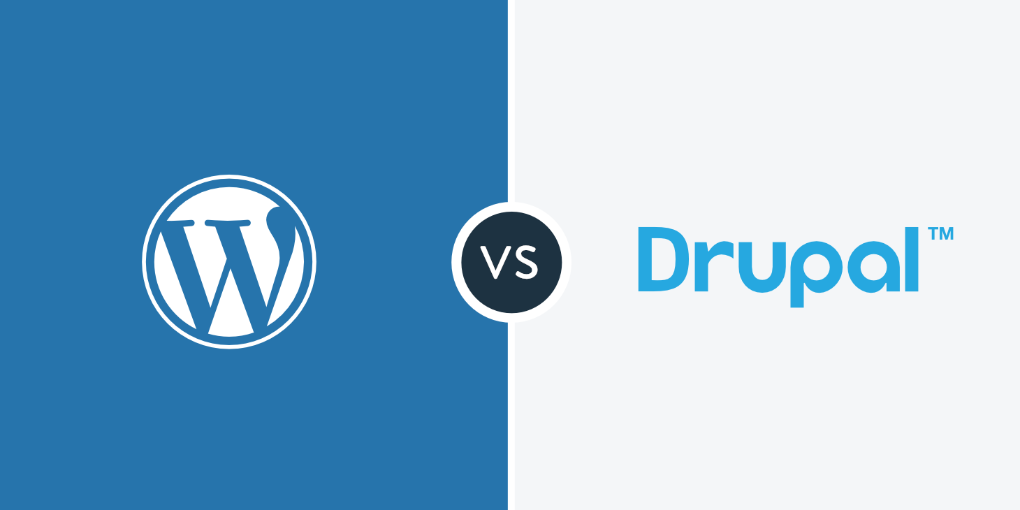 Drupal vs WordPress security comparison: who is the real king of defense?