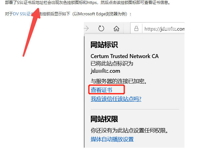 SSL 證書