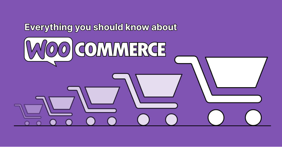 WooCommerce逆襲亞馬遜：小賣家翻盤的終極武器