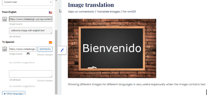 Image [11]-Elementor×TranslatePress Multilingual SEO Ultimate Hands-on: URL, hreflang, Sitemap All at once!